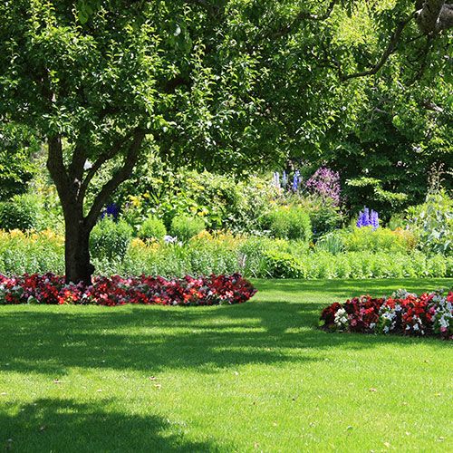 Desmalezadora trabajo pesado EVANS para Todo Tipo de Trabajo de Jardinería desbrozadora