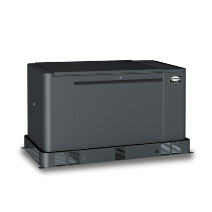 Generador Monofásico EVANS 16.6kW  –  Respaldo para Industrias y Negocios