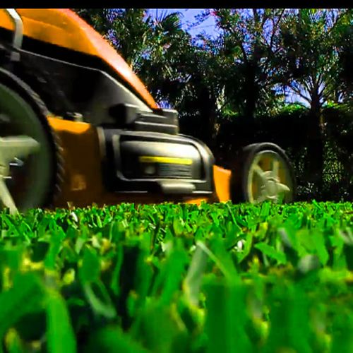 Podadora Eléctrica para Jardín