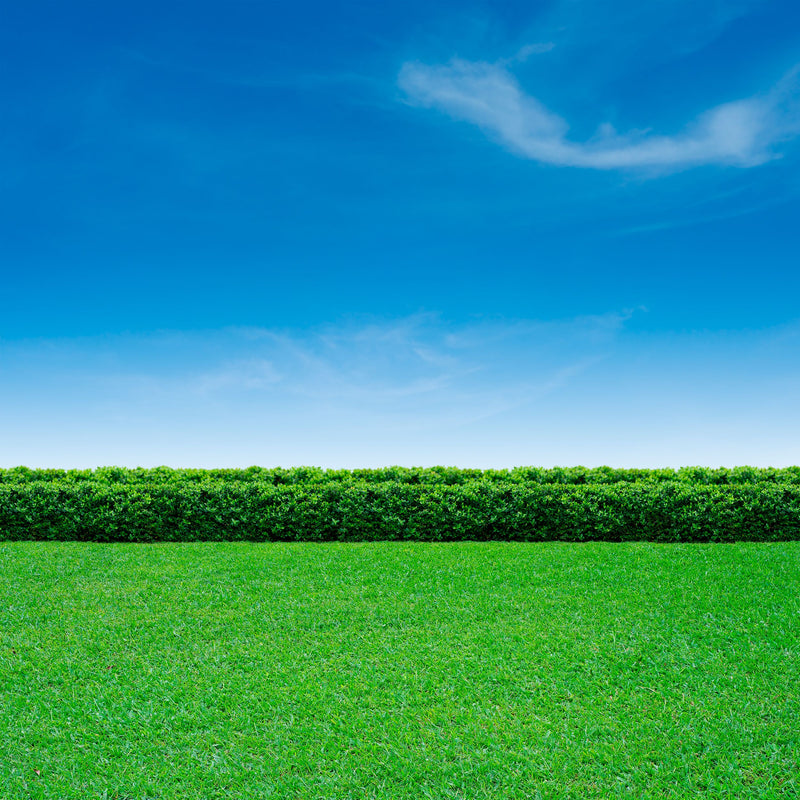 Podadora 2 en 1 Poulan Pro 21” con Motor Gasolina 160cc